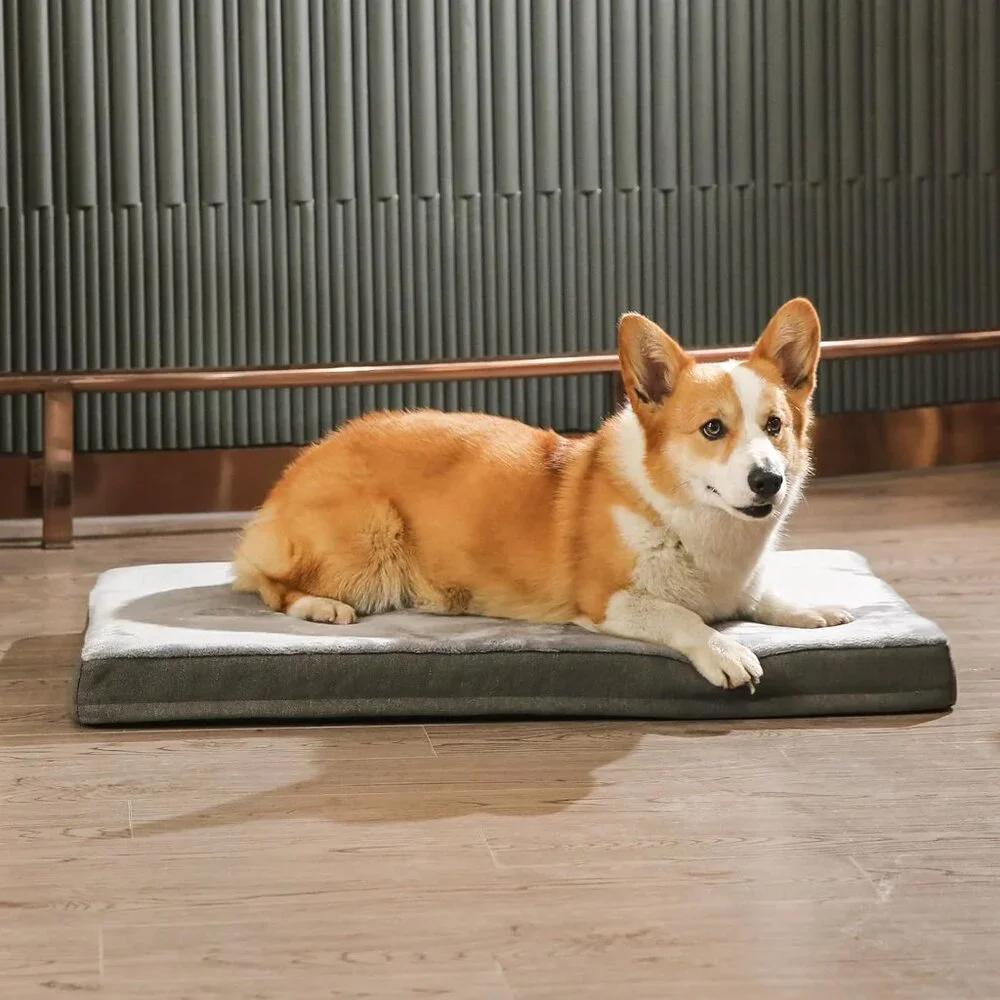 Dog Bed with Cooling Gel Memory Foam, Pressure-Relief Support for Dogs up to 50l